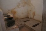 pic_29511.jpg