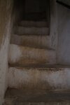 pic_29512.jpg