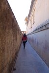 pic_29528.jpg