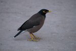 pic_29548.jpg