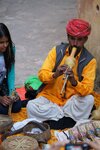 pic_29551.jpg