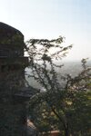 pic_29558.jpg