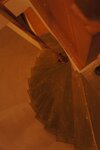 pic_29560.jpg