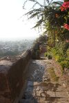 pic_29584.jpg