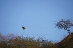 pic_29598.jpg