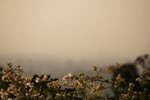 pic_29605.jpg