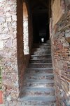 pic_29664.jpg