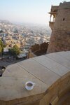 pic_29735.jpg