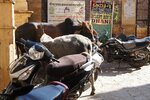 pic_29763.jpg