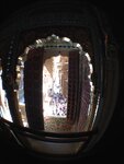 pic_29833.jpg