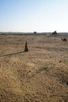 pic_29899.jpg