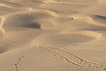 pic_29912.jpg