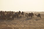 pic_29971.jpg