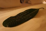 pic_30075.jpg