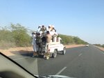 pic_30077.jpg