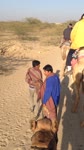 mov_camel2.mov