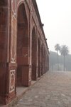 pic_30155.jpg