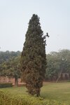 pic_30157.jpg