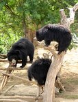 pic_30344.jpg