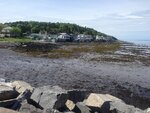 pic_30533.jpg