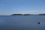 pic_30534.jpg