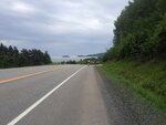 pic_30543.jpg