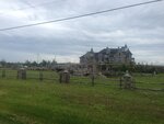 pic_30558.jpg