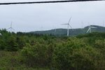 pic_30580.jpg