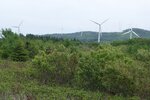 pic_30581.jpg