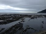 pic_30602.jpg