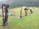 pic_30612.jpg