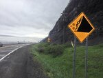 pic_30617.jpg