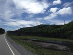 pic_30631.jpg