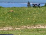 pic_30669.jpg