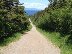 pic_30675.jpg