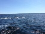 pic_30683.jpg
