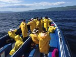 pic_30684.jpg
