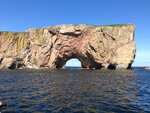 pic_30727.jpg