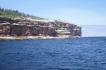 pic_30733.jpg