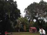 pic_31934.jpg