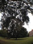 pic_31949.jpg