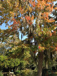 pic_32003.jpg