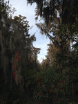 pic_32004.jpg