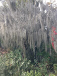 pic_32005.jpg