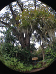 pic_32007.jpg