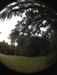 pic_32008.jpg