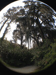 pic_32009.jpg