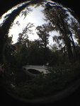 pic_32010.jpg