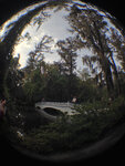 pic_32011.jpg