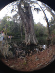 pic_32012.jpg